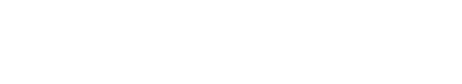 NOVEXA Auction