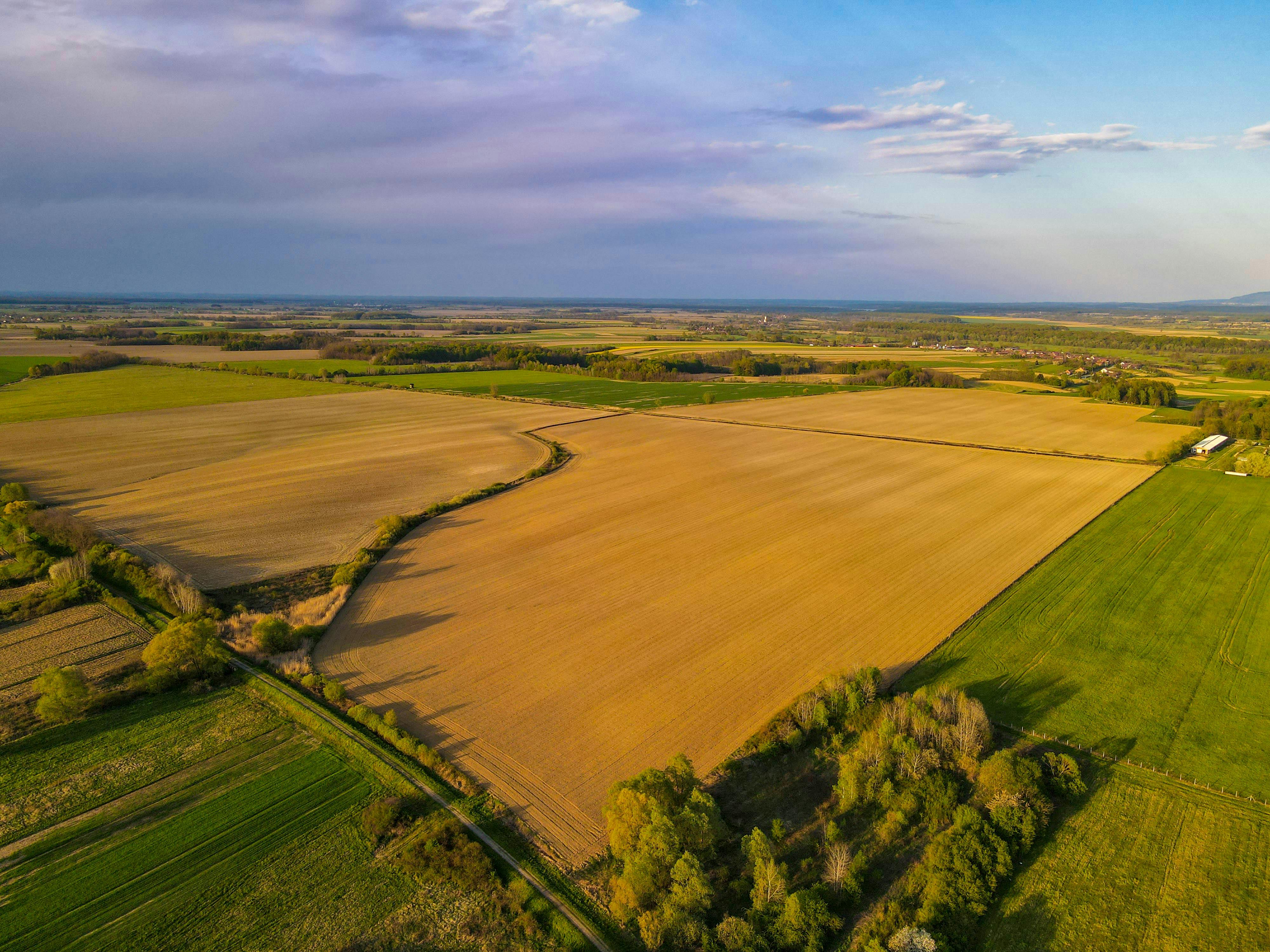 Freehold Agricultural Land — 5 Acres